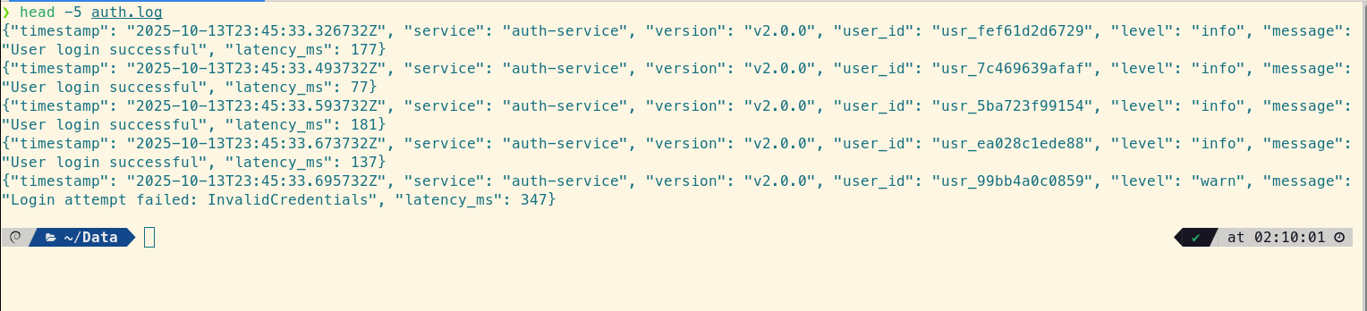 Sample of structured JSON logs from the auth-service, showing fields like timestamp, level, version, and latency_ms.
