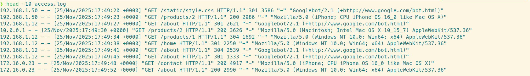 Raw Nginx access logs showing a blur of text using head command