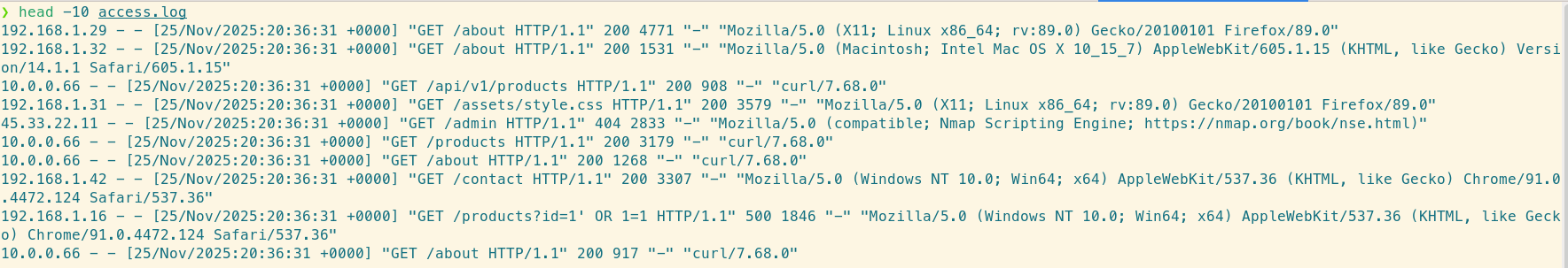 Raw Nginx access logs showing a blur of text