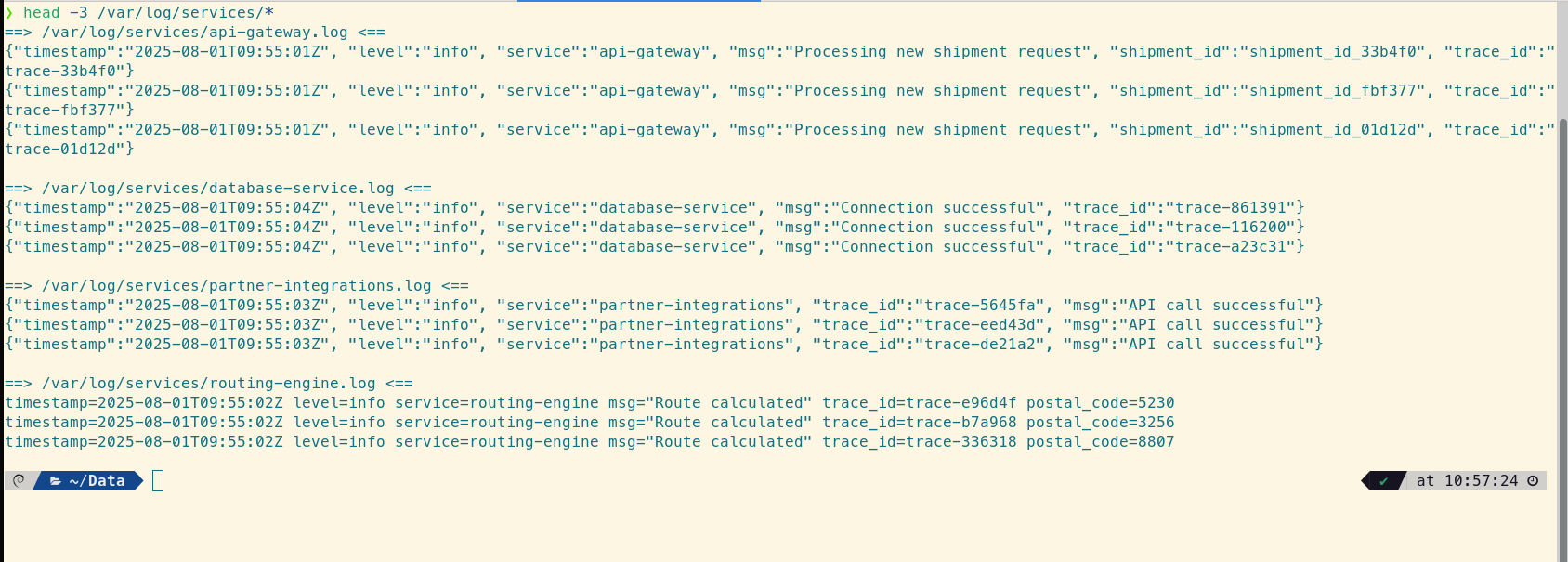 Output of the head command showing mixed log formats: structured JSON, logfmt, and unstructured plain text.
